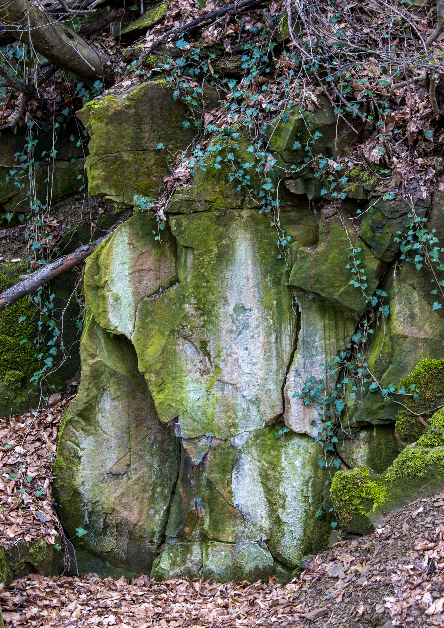 20220410112551 R5D 2013